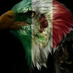 Meet your Posher, Gilberto